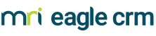 Logo big eagle